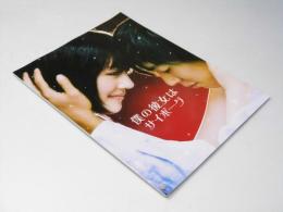 僕の彼女はサイボーグ 日本映画パンフレット