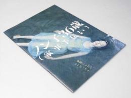 ノン子36歳 家事手伝い 日本映画パンフレット