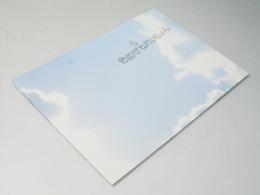 色即ぜねれいしょん　日本映画パンフレット