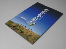 次郎長三国志 日本映画パンフレット