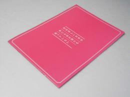 恋の正しい方法は本にも設計図にも載っていない 日本映画パンフレット