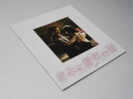 きみに微笑む雨　洋韓中合作映画パンフレット