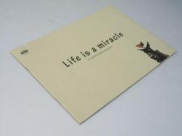 Life is a miracle ライフ・イズ・ミラクル洋映画パンフレット