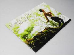 ビューティフル ボーイ 洋タイ映画パンフレット