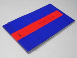 ヴェロニカ・ゲリン 洋映画パンフレット