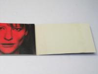 ヴェロニカ・ゲリン 洋映画パンフレット