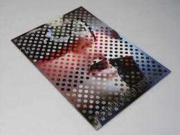 ガールフレンド・エクスペリエンス　洋映画パンフレット