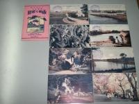 絵葉書　函館の名勝　北日本代表港湾都市