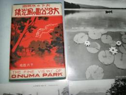 絵葉書　大沼公園の風光集　天下の水明郷