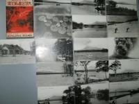 絵葉書　大沼公園の風光集　天下の水明郷