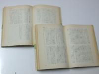 愛国者 上・下　世界革命文学選.33・34