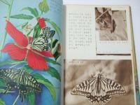 科学ブック　第1巻3号～7号揃