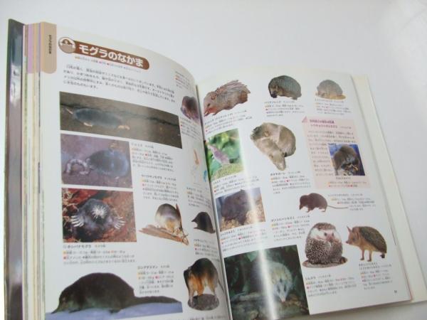 注目ショップ ニューワイド学研の図鑑 i いちばん の図鑑 aob.adv.br