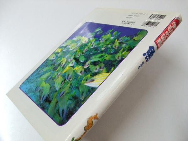 魚 ニューワイド学研の図鑑4(浅井晴夫.編) / 文教堂書店 / 古本 魚 ニューワイド学研の図鑑4(浅井晴夫.編) / 文教堂書店 / 古本