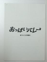 映画解説　おっぱいバレー　（仮プレス）