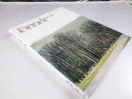 桑原宏画集　画業60年・傘寿記念