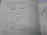 JUNG FRAU　トルコからヒマラヤへの山旅　日本女性初の7403m峰登頂記録