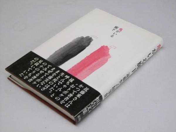 四万十川 1: 田辺竹治翁聞書 | 永澤 正好 |本 | 通販 | Amazon