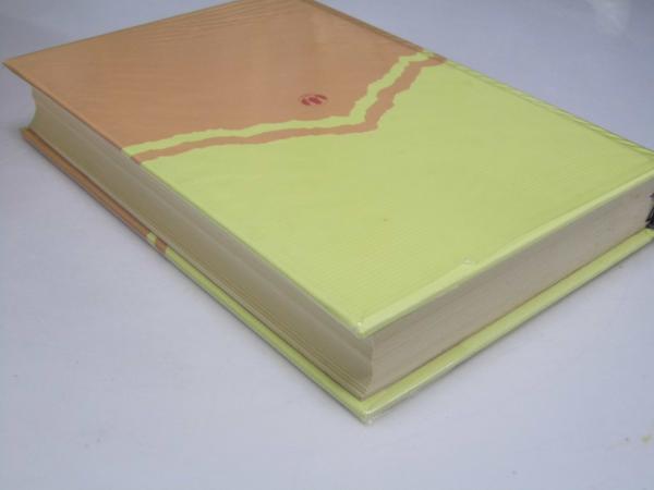 源氏物語 1～10 完訳 日本の古典14-23(阿部秋生・今井源衛.他校注訳 