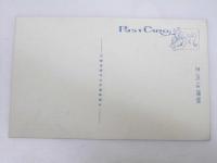 北海道絵葉書　札幌中島公園