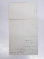 北海道絵葉書　札幌アカシヤ並木街/月寒種羊場/附近の牧場の絵