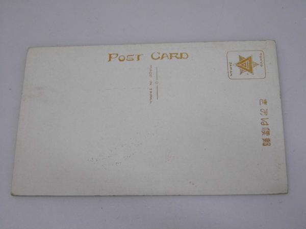 絵葉書 大正天皇御大葬儀 / 古本、中古本、古書籍の通販は「日本 絵葉書 大正天皇御大葬儀 / 古本、中古本、古書籍の通販は「日本