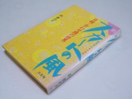 新スカートの風  チマパラム 日韓=合わせ鏡の世界