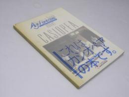 this is a book about CASIOPEA　これはカシオペアの本です