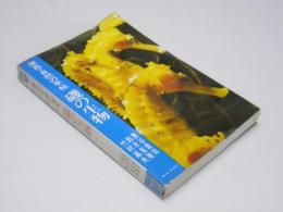 磯の生物  原色・自然の手帖  ブルーバックス