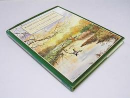 A Secret Landscape　 Diary of Lapwing Meadows