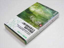 天冥の標 II　救世群