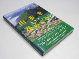 北海道 山歩き 花めぐり