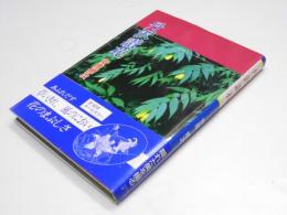 丹沢讃花