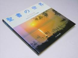 聖書の世界　イエズスの道　ミカエル・モイズィキェヴィチ写真集