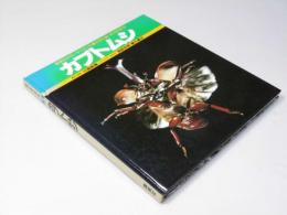 カブトムシ　カラーサイエンス