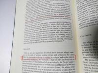 Guide to International Human Rights Practice