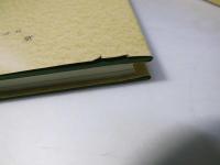 間診による犬病内科の診断と治療