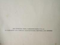 WEBSTER'S INTERNATIONAL DICTIONARY OF THE ENGLISH LANGUAGE