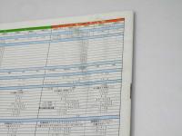 車パンフレット　　NISSAN　Violet　(7051D)