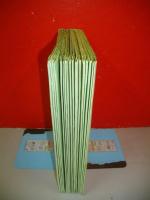 観相発秘録　気血色　(一)～(十七)/17冊