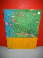 キタキツネ　北辺の原野を駆ける