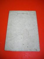 蝦夷地登道中記　松本氏