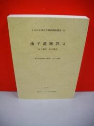 池子遺跡群Ⅵ　№5地点・№19地点　(かながわ考古学財団調査報告36)