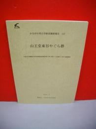山王堂東谷やぐら群　(かながわ考古学財団調査報告117)