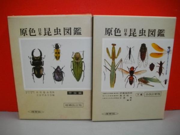 原色日本昆虫図鑑 上・下巻/2冊揃 (増補改訂版)(日本昆虫学会・伊藤修