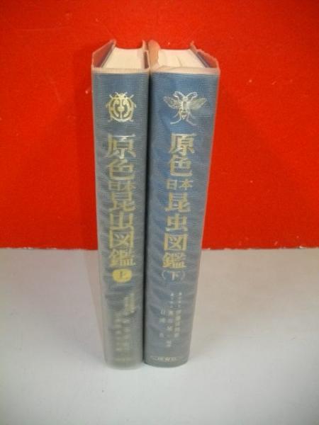 原色日本昆虫図鑑 上・下巻/2冊揃 (増補改訂版)(日本昆虫学会・伊藤修