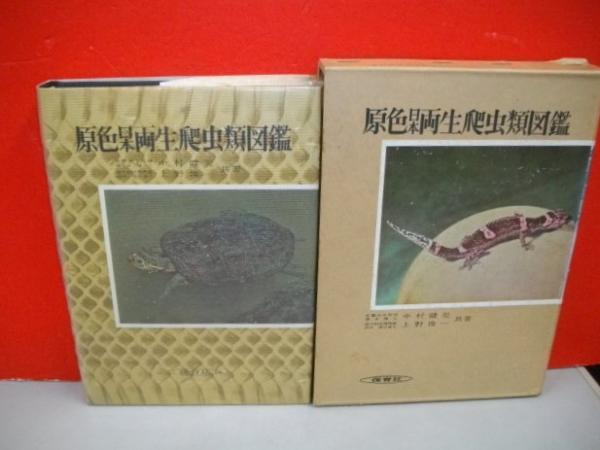 原色日本両性爬虫類図鑑 中野健児 上野俊一 伊藤書房 古本 中古本 古書籍の通販は 日本の古本屋 日本の古本屋