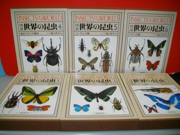 ▲01)【同梱不可】図説 世界の昆虫2/ 東南アジア編2/阪口浩平/保育社/昭和56年発行/付録付き/A 図説世界の昆虫〈2〉東南アジア編 (1981年) | 阪口 浩平 |本