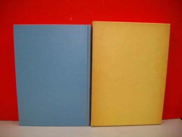 航空工学(I): 航空流体力学 (機械工学選書) 東 昭