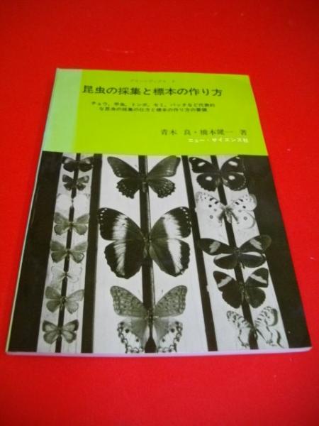 続・物理学の視点 時空・量子飛躍・ゲージ場(江沢洋) / 伊藤書房